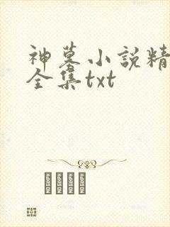 神墓小说精校版全集txt