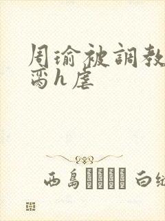 周瑜被调教成禁脔h虐封面