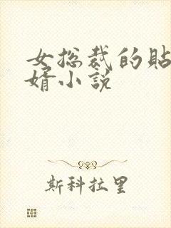 女总裁的贴身狂婿小说封面