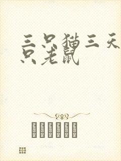 三只猫三天抓三只老鼠封面