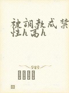 被调教成禁脔双性h高h