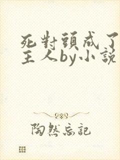 死对头成了我的主人by小说封面