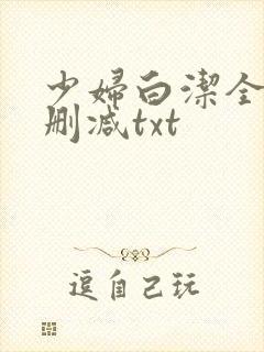 少妇白洁全文无删减txt