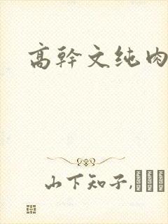 高干文纯肉高h