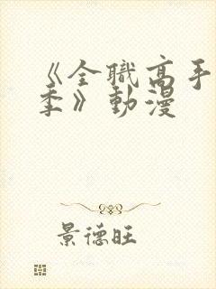 《全职高手第二季》动漫