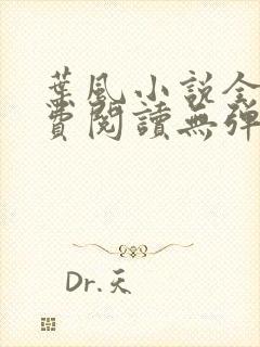 叶风小说全文免费阅读无弹窗封面