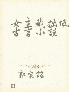 女主藏拙低调的古言小说封面