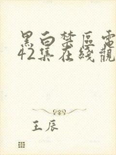 黑白禁区电视剧42集在线观看