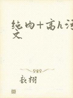 纯肉+高h污黄文
