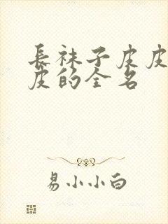 长袜子皮皮中皮皮的全名