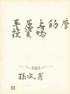 平原上的摩西能投资吗