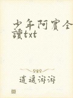 少年阿宾全文阅读txt