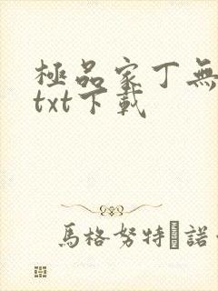 极品家丁无删减txt下载