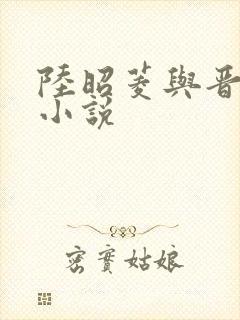 陆昭菱与晋王的小说