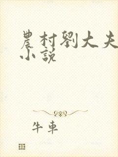 农村刘大夫贾蕾小说