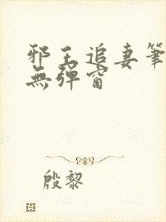 邪王追妻笔趣阁无弹窗