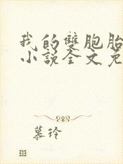 我的双胞胎夫君小说全文免费阅读