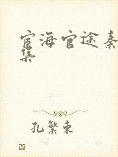 宦海官途秦峰全集封面