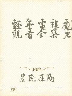 轻年电视剧在线观看全集免费高清