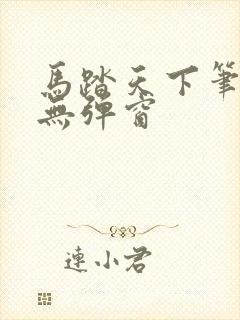 马踏天下笔趣阁无弹窗