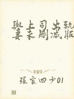 与上司出轨的人妻未删减版封面