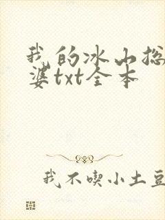我的冰山总裁老婆txt全本
