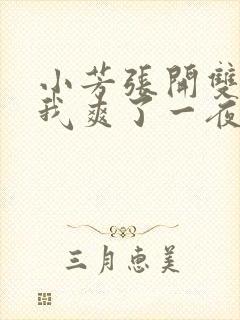 小芳张开双腿让我爽了一夜