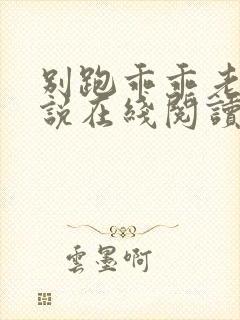 别跑乖乖老婆小说在线阅读封面