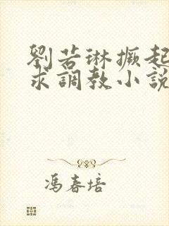 刘若琳撅起屁股求调教小说