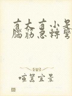 有大有小是什么脑筋急转弯猜生肖