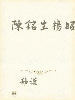 陈铭生杨昭结局