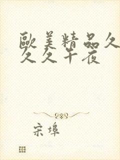 欧美精品久久久久久午夜