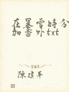 在暴雪时分全文加番外txt
