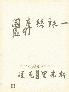 国产丝袜一区二区91封面