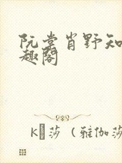 阮棠肖野知青笔趣阁