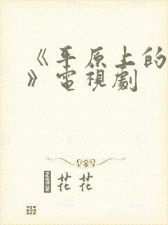 《平原上的摩西》电视剧