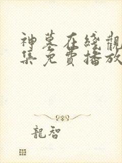 神墓在线观看全集免费播放动漫