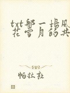 txt那一场风花雪月的共谋