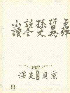 小说孙哲免费阅读全文无弹窗封面