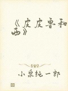 《皮皮鲁和鲁西西》