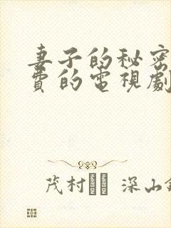 妻子的秘密3免费的电视剧完整版高清