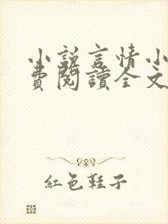 小说言情小说免费阅读全文封面