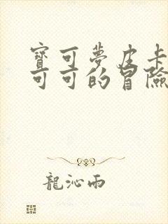 宝可梦皮卡丘和可可的冒险国语版封面