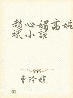 赵心媚高婉君陈斌小说