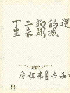 丁二狗的逆袭人生未删减