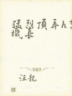 猛烈顶弄h禁欲机长