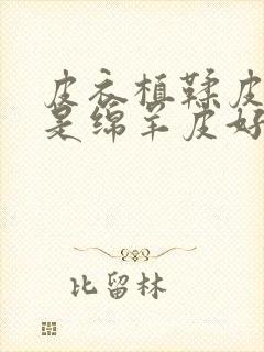 皮衣植鞣皮好还是绵羊皮好封面