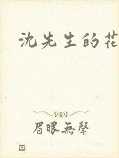 沈先生的花式调