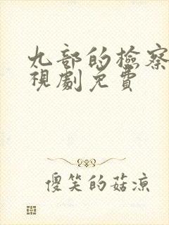 九部的检察官电视剧免费封面