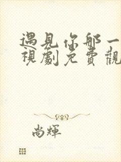 遇见你那一天电视剧免费观看